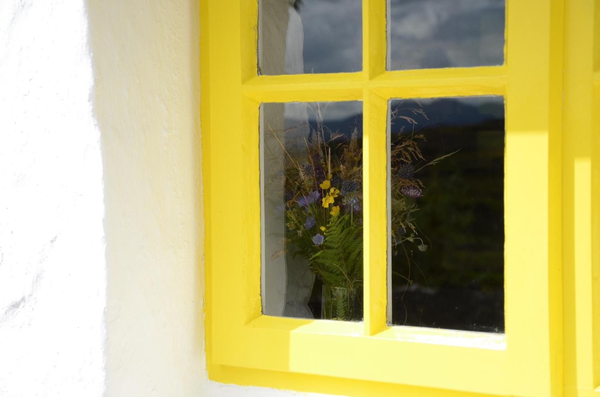 Hébergement de vacances Teachin - An Idyll Of The Emerald Isle Downings